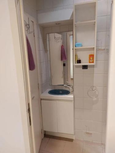 حمام, Charming Apartment in Haren, Brussels - 40 sqm of Comfort in دييجيم