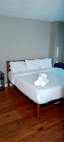 The Heart of Merrimack Historic Mansion - image 7