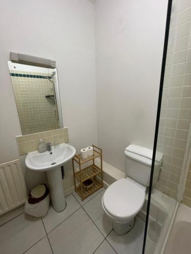 Entire Apartment in Heart of Dublin - image 7