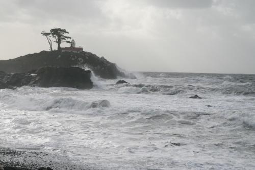 Oceanfront Lodge