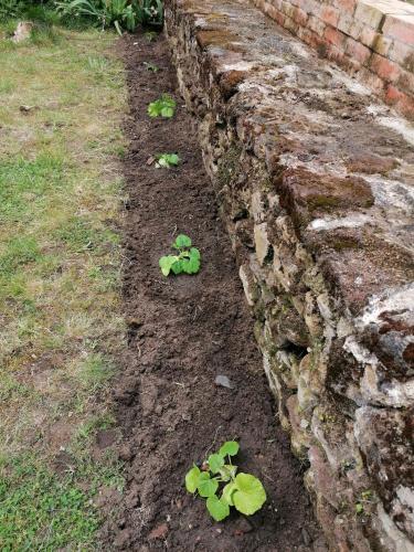 Les Jardins De Beauverger – Le Mans, AR