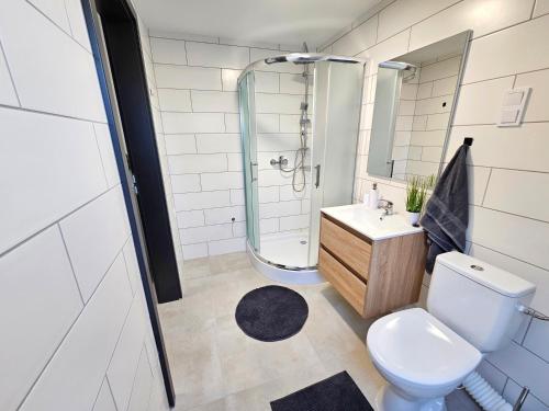 Bathroom, Balint Borlak in Hajós