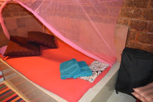 Namaste Yoga Farm, Gokarna (Foto 3)