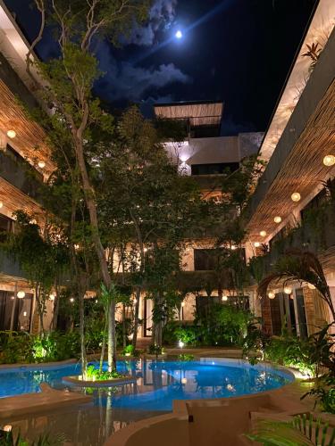 New large luxurious 1 bedroom, 1 bathroom apartment in Tulum in Tulum, Mexico