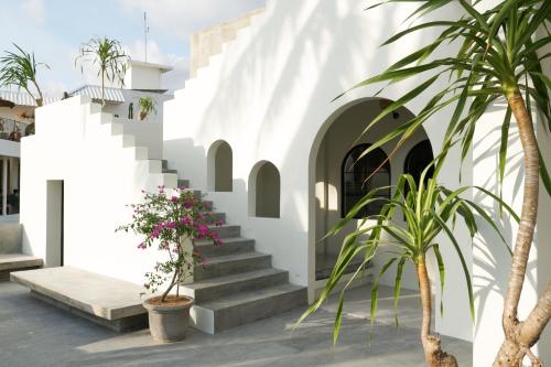 600245444 El Tropico Boutique Hotel