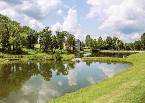 Restful Haven condo - image 9
