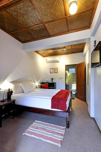 Superior Room image 10