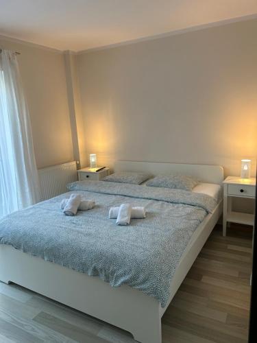 Hermann Apartments - image 3