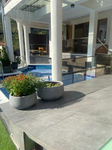 Guest House Rest - image 12