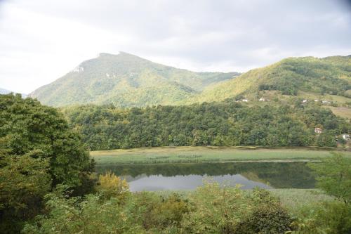 Studio with Mountain View