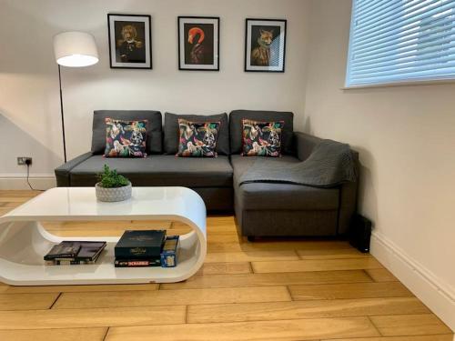 Period Apartment for 3, Near Uni, Hospital and Town Centre, Parking, Рединг (фото 8)