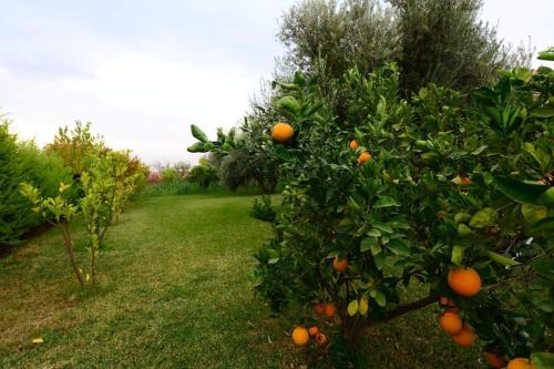 Villa 4 chambres à Marrakech