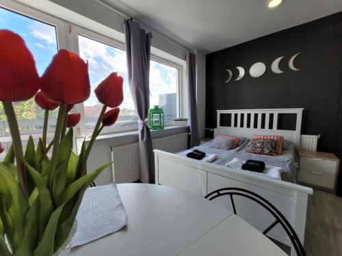 Apartamenty Parkowe nr 10