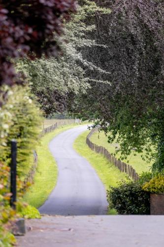 The Falcondale Hotel & Restaurant - image 6