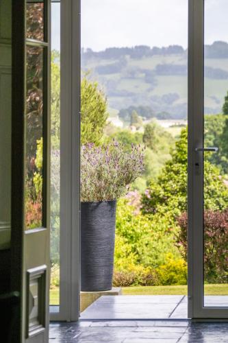 The Falcondale Hotel & Restaurant - image 9