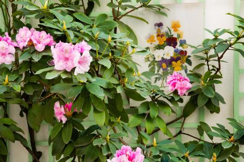 Hôtel Mistral - image 6