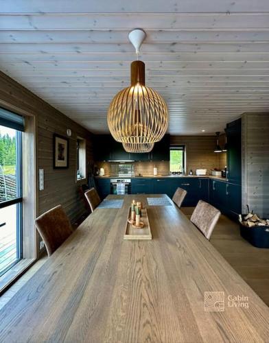 High standard cabin at Sjusjøen sauna, hot tub & ski trails right outside in Sjusjoen