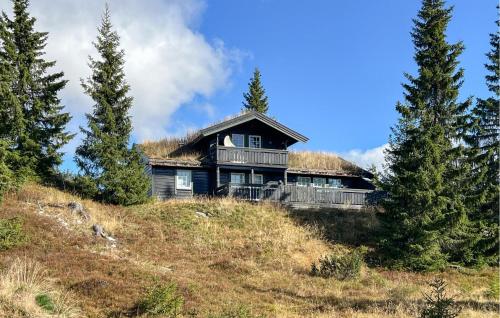 . Stunning Home In Sjusjøen With Sauna