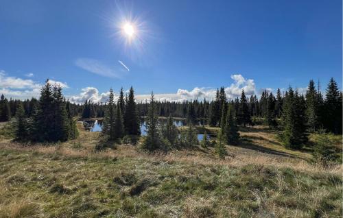 Viesnīcas āriene, Stunning Home In Sjusjøen With Sauna in Sjusjoen