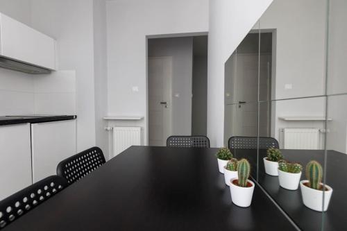 Close-Central Wroclaw Apartment - Old Town - Comfortable and Cozy - W3, Breslau (Foto 9)