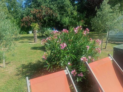 Villa Provençale avec Spa Piscine Privée (Villa Provencale avec Spa Piscine Privee) in Mariol