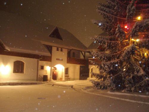 Farm Košir - image 4