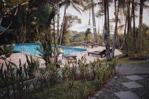 Finca Bavaria, Ballena (foto 8)