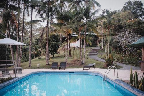 Finca Bavaria, Ballena (foto 9)