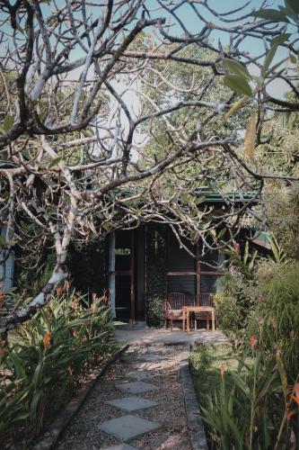 Finca Bavaria in Ballena