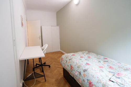 Grand appartement spacieux, Strasbourg (photo 8)