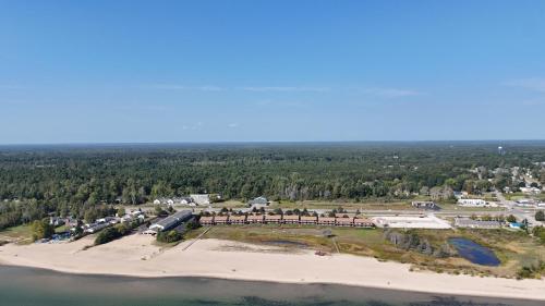 New! Carpe Diem 365 - Very Cute Lakefront Condo! in Oscoda, USA
