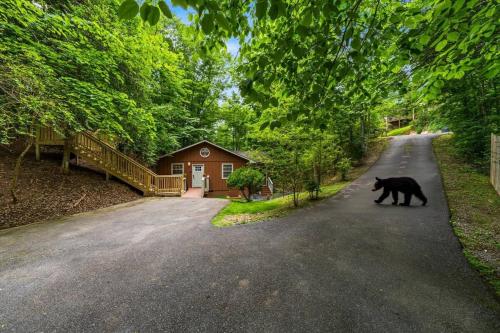 Dreaming Tree Cabin in Pigeon Forge, USA