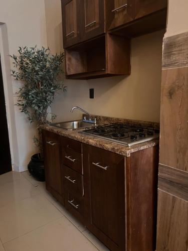 The Black Tree Hotel Colonial in 馬薩特蘭市中心