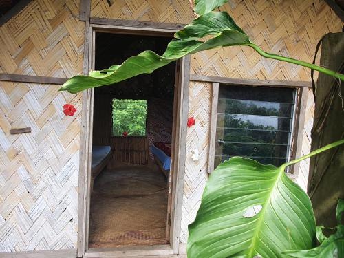 island paradis bungalowd in Ісака