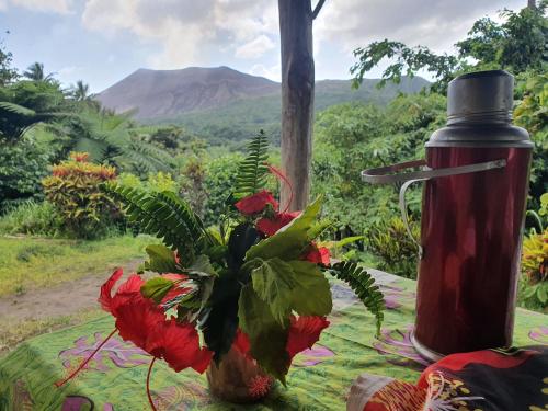 island paradis bungalowd in Ісака