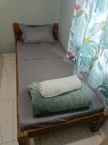 Fitz & Oritz Homestay - image 5