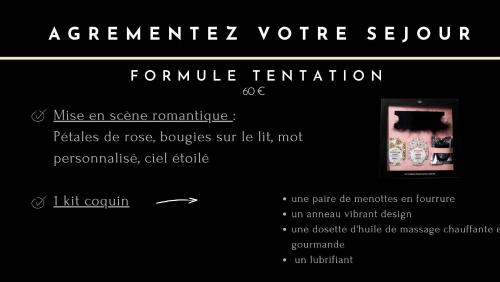 Loveroom Adults Only jacuzzi vieille ville Annecy - image 4