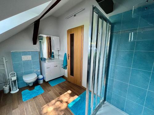 浴室, Apartman Horice na Sumave in 舒馬瓦山區霍日采