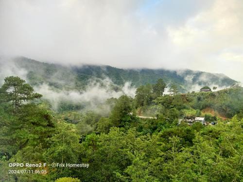 FRIX HOMESTAY and RESTAURANT