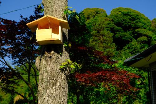 伊都山海渓의 주변 풍경사진