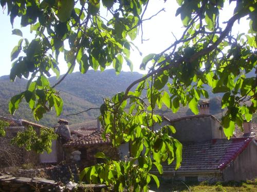A környék, Madre Terra in La Hiruela