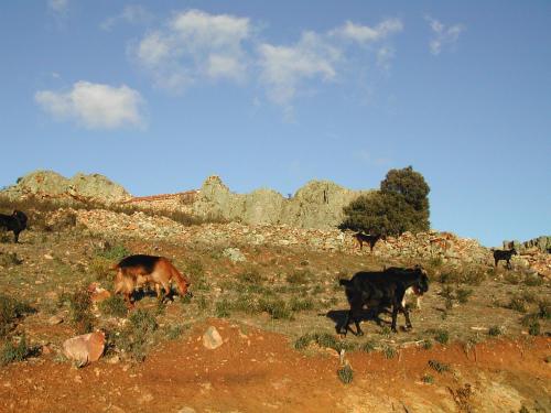 A környék, Madre Terra in La Hiruela