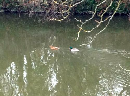 Economy Triple Room with Private Bathroom