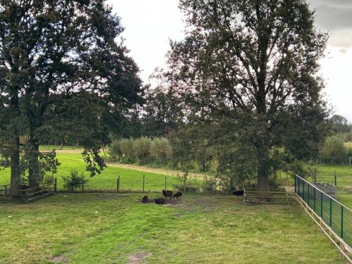 Nas proximidades, Vakantiewoning Laurijn in Bilzen