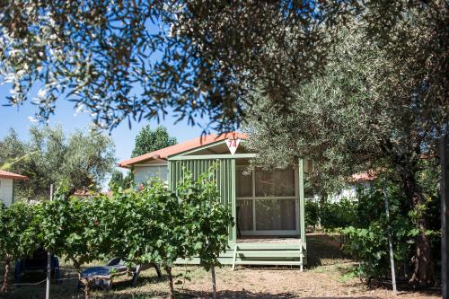 Lodges Méditerranée - image 4