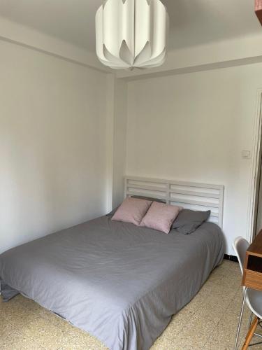 Chartreux, Marseille (fotografie 6)
