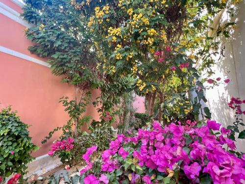 Hill Villa Venezia El Gouna: pool, beach & WiFi Hill Villa Venezia El Gouna: pool, beach & WiFi