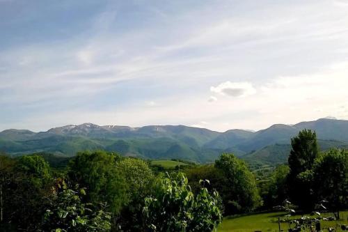 Gîte ETH ARREYEN avec piscine privée et magnifique vue sur Pyrénées gîte à louer Batsère