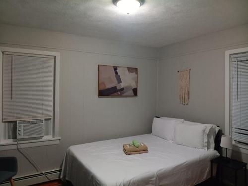 The Town-Suite at Wanskuck NEW 2-BR APT Parking in Providence, USA