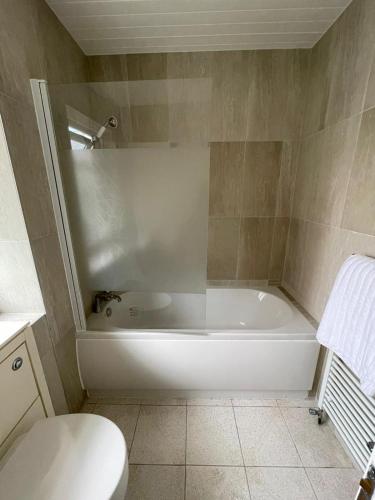 Lovely spacious 3 bedroom house with sofa bed, 30 minutes from Central London, Londýn (fotografie 4)